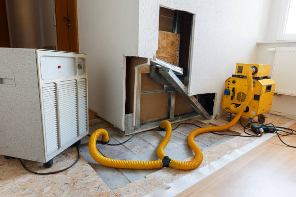 Best Mold Removal for HVAC Installations  in Steelton, PA